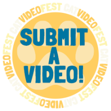 cvf_rotator_SUBMIT_02a